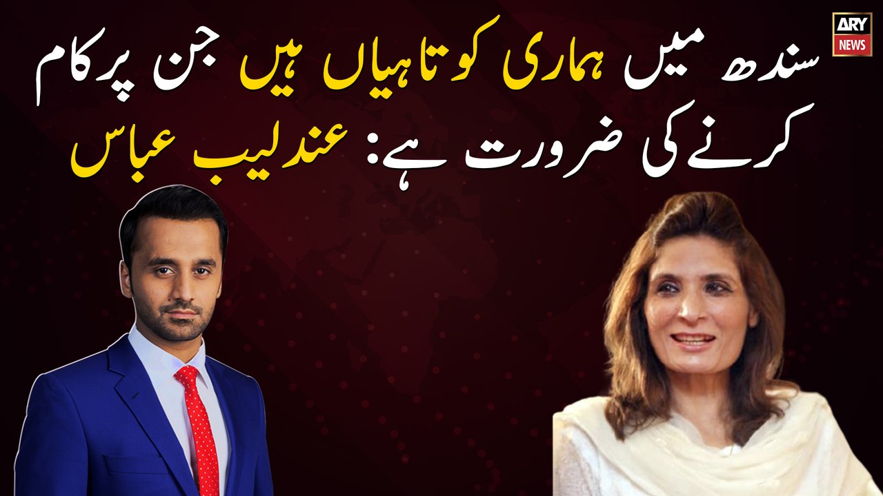 We have done mistakes in Sindh that need to be addressed: Andleeb Abbas