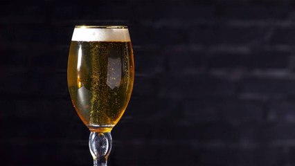 A Federal Judge Wrote Beer Puns into a Decision on Red Robin's Allegedly Misleading 'Pints