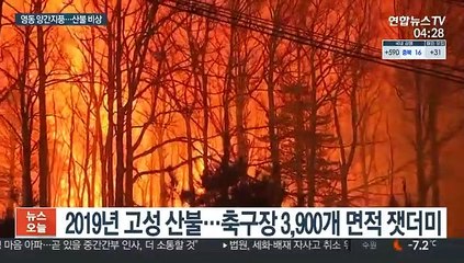 대형산불 비상…주말까지 시속 100km '양간지풍'