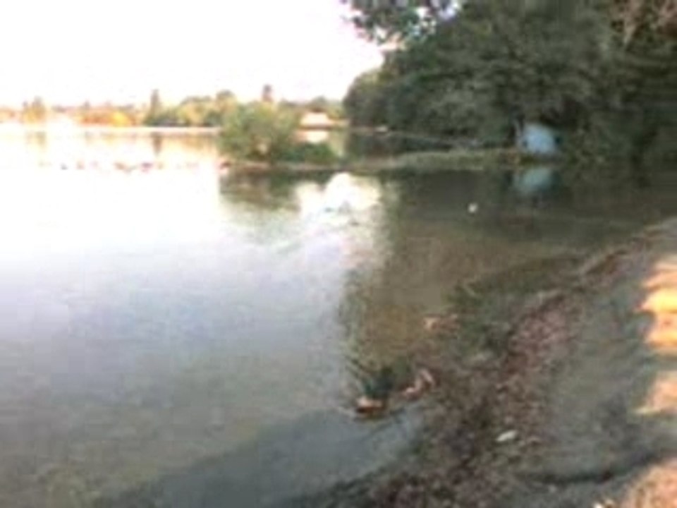 lac