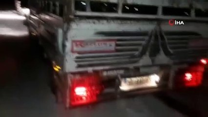 Donmak üzere olan keçiler ekiplerce kurtarıldı