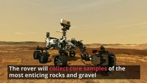 Perseverance: NASA Rover Lands On Mars