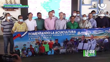 Nicaragua logra ser el mayor proveedor de langostas en mercado taiwanés