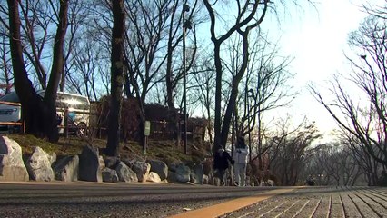 [날씨] 오늘 출근길까지 추위, 낮 포근...동해안 산불 비상 / YTN