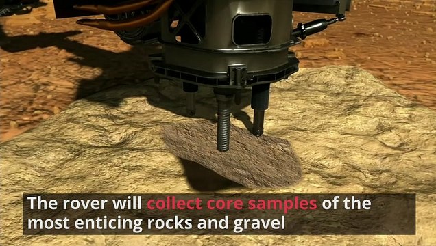 Perseverance: NASA Rover Lands On Mars