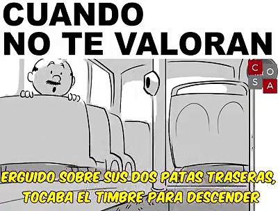 El Miscelaneo