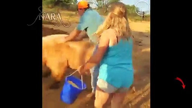 TU RIS TU PERDS ! VIDEO DROLE A MOURIR DE RIRE @1_HD