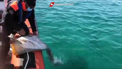 Catania - 100 chili di telline pescate illegalmente riconsegnate al mare (18.12.21)