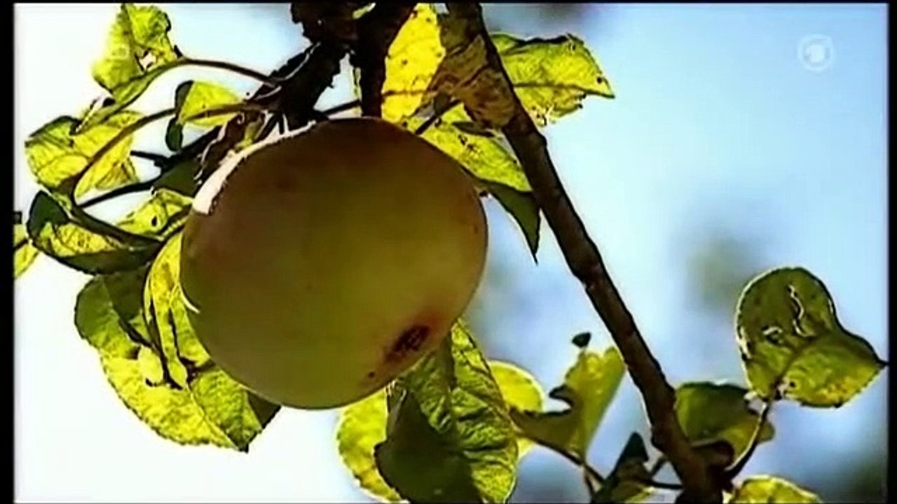 Sturm der Liebe, Folge 716 4/5