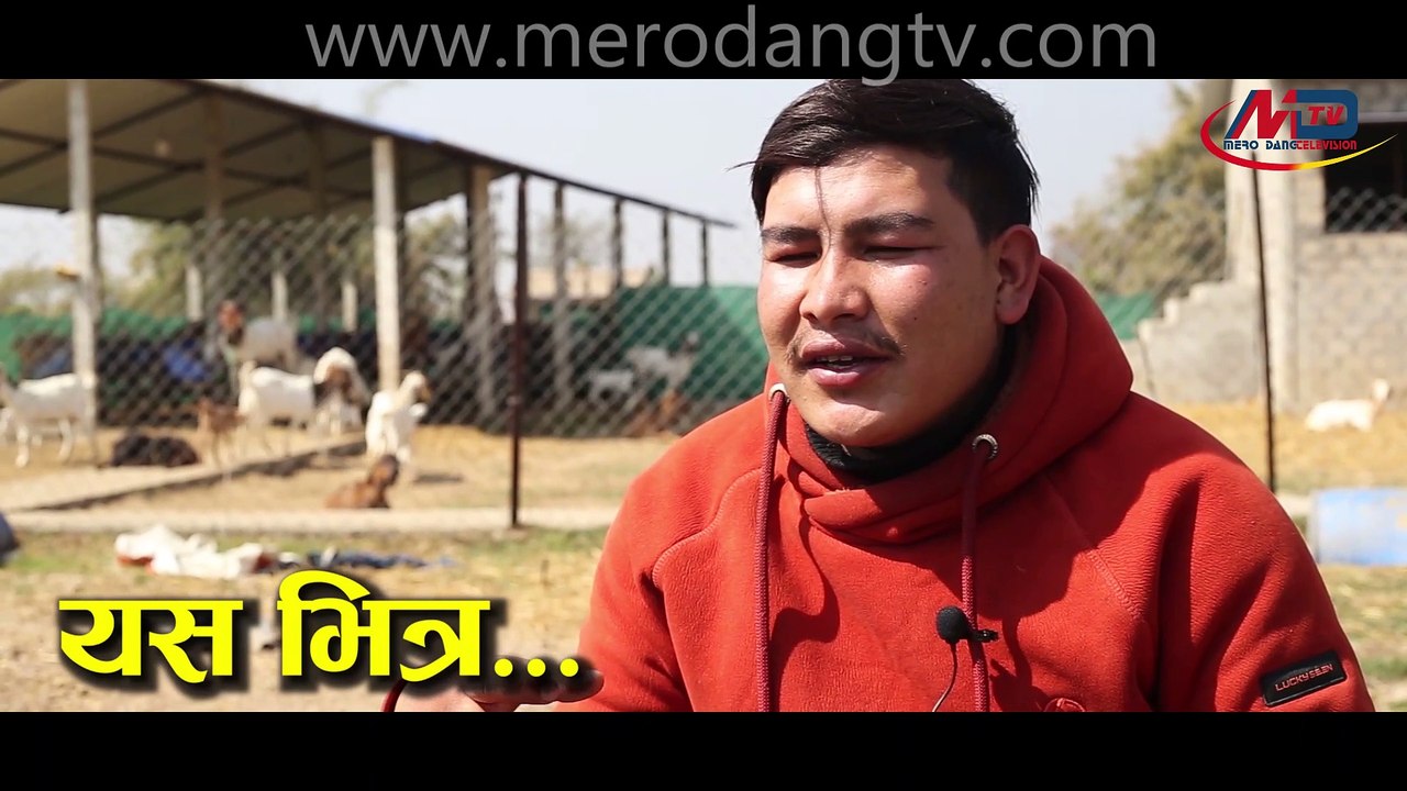 Bakhra Palan in Nepal, बोयर बाख्रा पालन कसरी गर्ने, Goat farming Nepal, Dipendra Oli