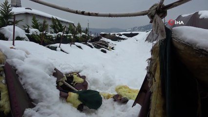 Yoğun kar Pendik Göçbeyli’nin seralarını ve ahırlarını vurdu