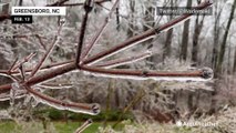 Ice creates beautiful but dangerous scenes around Greensboro