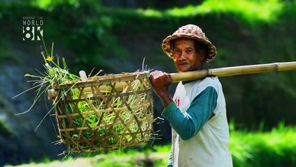 Bali 8K HDR|| Nature Tune||beats to relax/study to