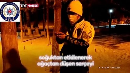 Donmak üzere olan serçeyi polisler hayata döndürdü