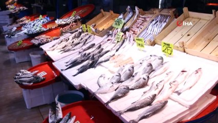 Fırtına ve soğuk hava balığı vurdu