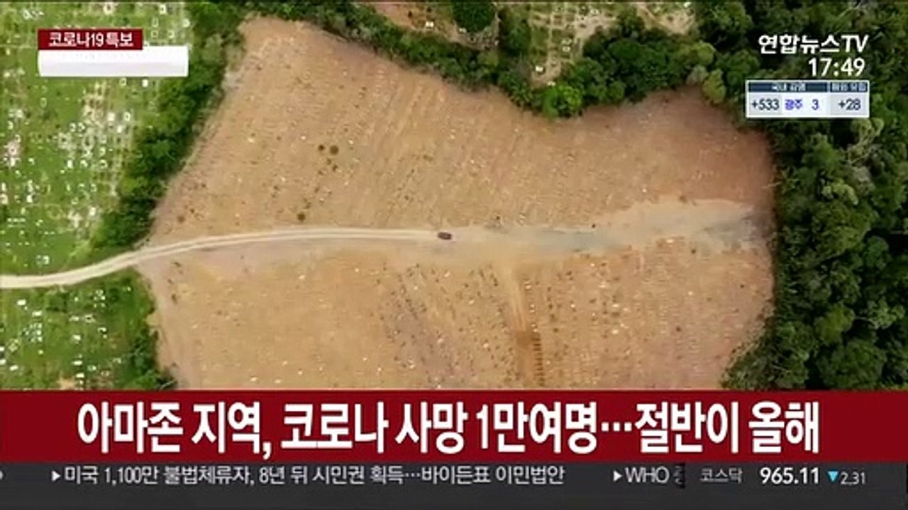 브라질 아마존 지역서 코로나 사망 1만여명…절반이 올해 발생