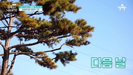 "내가 낳은 아들이 아니라 그러나?" 아빠를 떠나보낸 금쪽이의 사연