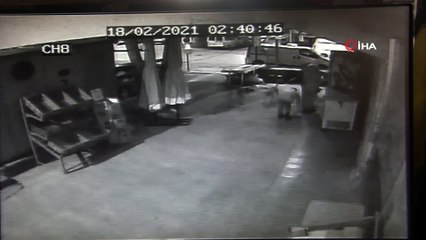 Susayan çocuklar marketin dolabını zorla açarak içecek çaldı