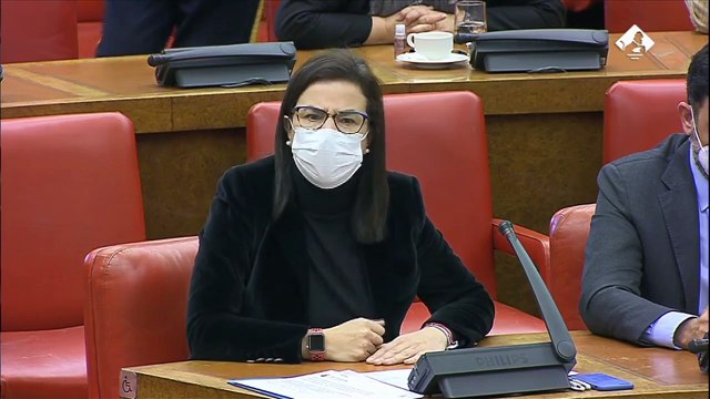 Una diputada del PP roza la expulsión en la Comisión de Interior tras perder los papeles con Marlaska