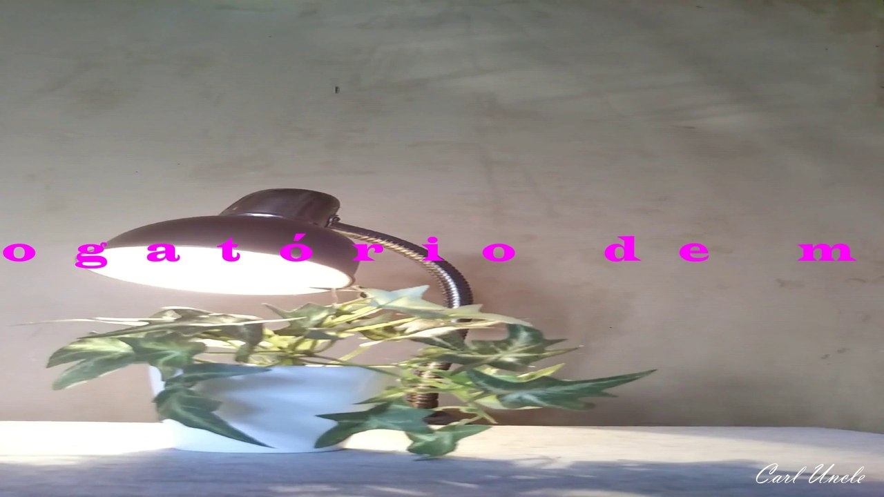 Interrogatório De Maconha