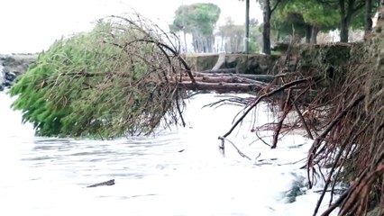 SAMSUN - Karadeniz'de 3 metreyi bulan dalgalar Samsun sahilinde tahribata yol açtı