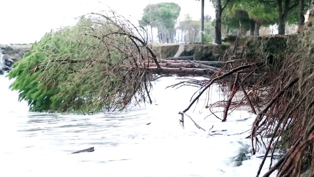 SAMSUN - Karadeniz'de 3 metreyi bulan dalgalar Samsun sahilinde tahribata yol açtı