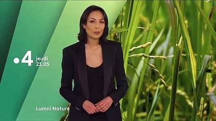 Lumni Nature - Planète terre - Bande annonce