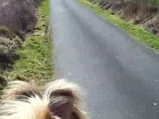 Pilou débu balade narcos