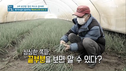 좋은 쪽파 고르는 TIP@@