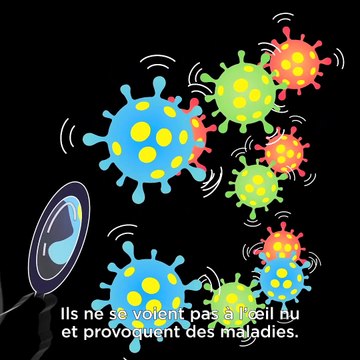 Pastille 1 - Vaccins : quelles sont les différences entre une bactérie et un virus ?