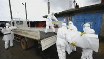 WHO to send over 11,000 Ebola vaccines to Guinea amid outbreak