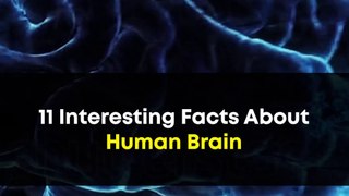 11 Interesting Facts About Human Brain | How Our Brain Works | Human Body Unknown Knowledge Facts