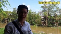 Đàn Cá Tra Trời Ban Cho Nông Dân Ở An Giang - Nguyễn Thành Công Minh