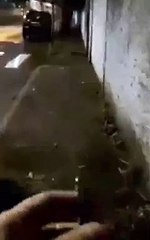 Whats the matter with yo head!