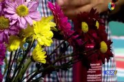 Le enseñamos a secar flores y usarlas como decoración