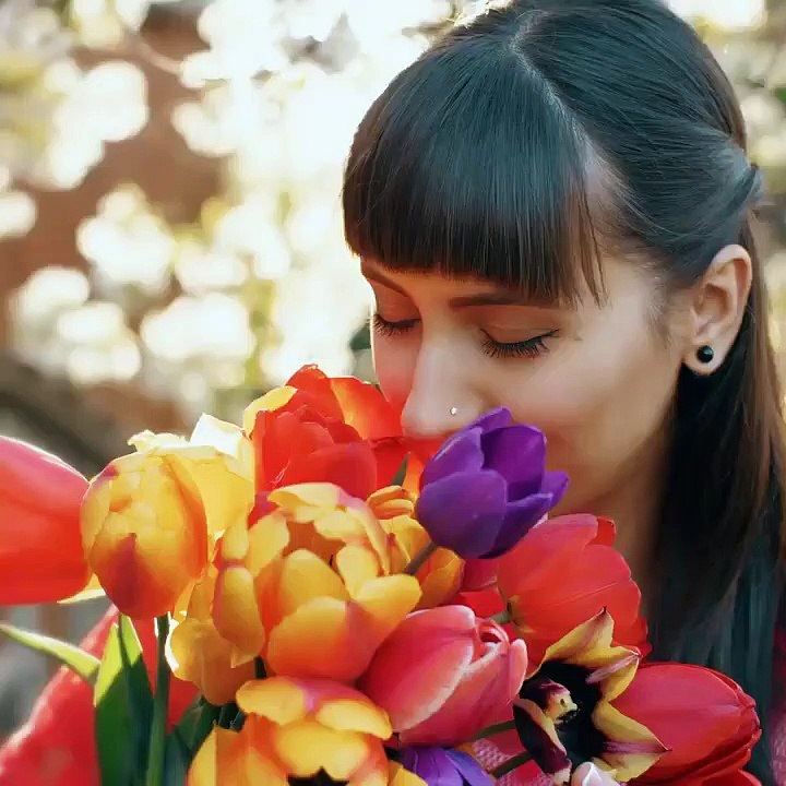 Radha Exotic Flowershop Southern Main Road Chaguanas/Montrose junction Montrose/opp Unipet Montrose, Montrose,TT (868) 722-5109 Montrose Florist