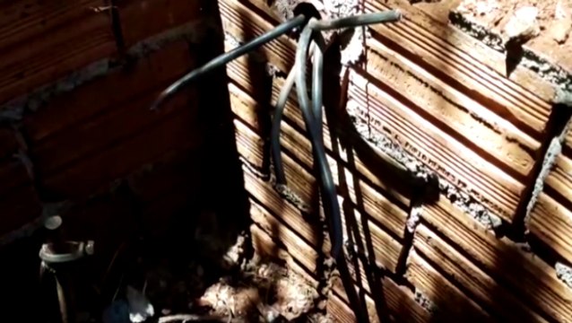 Ladrão é flagrado furtando grande quantidade de fios em escola municipal de Cascavel