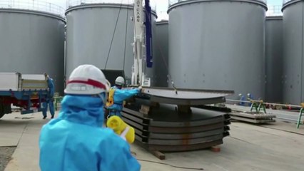 [뉴스큐] 후쿠시마 우럭 '방사성 물질 검출'...日 "이유 몰라" / YTN