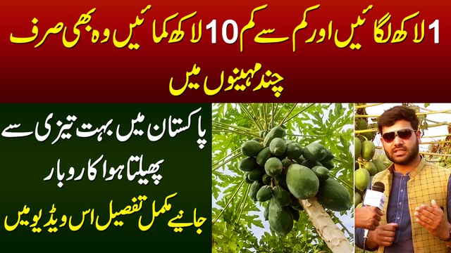 1 Lakh Se 10 Lakh Ki Earning Sirf Chand Month Me - Fast Expanding Business in Pakistan