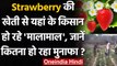 Gorakhpur में Strawberry की खेती कर तरक्की की इबारत लिख रहे Farmers । वनइंडिया हिंदी
