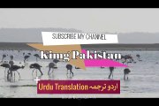 88) Surah Ghashiya with urdu translation ┇ Quran with Urdu Translation full ┇ #Qirat ┇AhmedTv