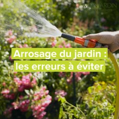 Arrosage : les erreurs à ne pas faire