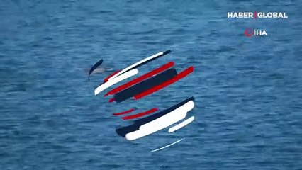 Yunusların şovu mest etti