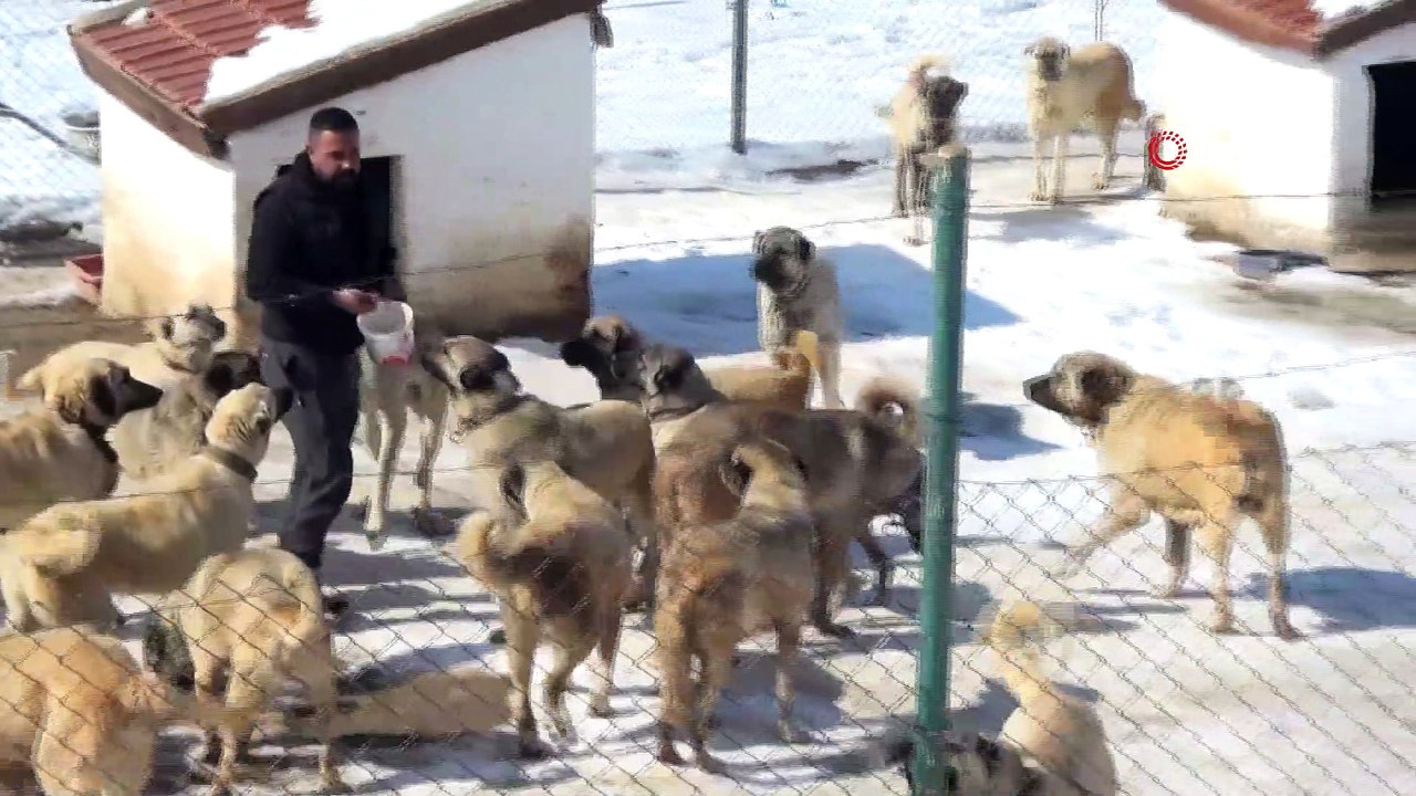Türkiye’nin en yaşlıları arasında, yıllara meydan okuyor