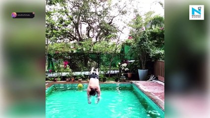 Whoa! Sidharth Shukla turns the heat up as he flaunts his chiseled body inside the pool