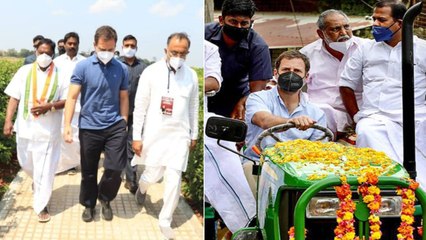 Rahul Gandhi Rides Tractor ట్రాక్టర్ డ్రైవర్ గా మారిన రాహుల్ గాంధీ…!!