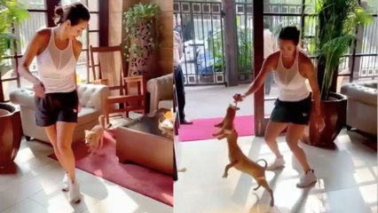 Malaika Arora का Doggy के साथ बेहद Cute Video हुआ VIRAL | Boldsky