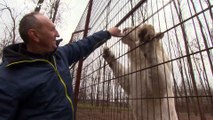 Az utolsó pillanatban érkezett a segítség: civileknek köszönhetően megmenekülhet a Magán Zoo