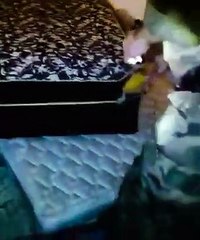 Cão farejador Scott aponta esconderijo onde drogas estavam escondidas