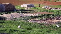 حرب استنزاف بين الإسرائيليين والبدو في غور الأردن